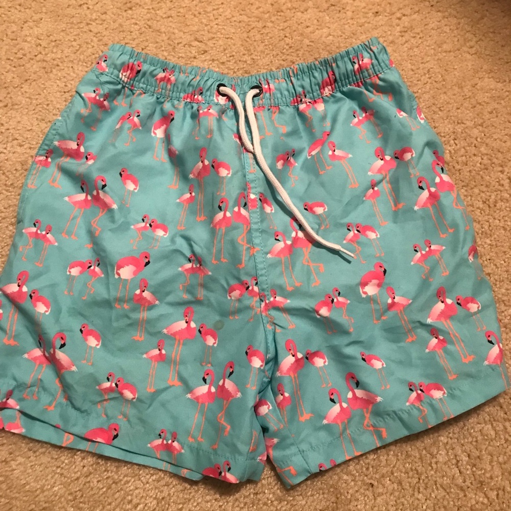 Flamingo Swim trunks